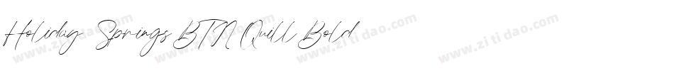 Holiday Springs BTN Quill Bold字体转换